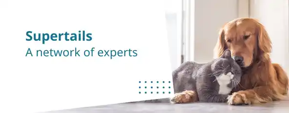 Supertails discount code
